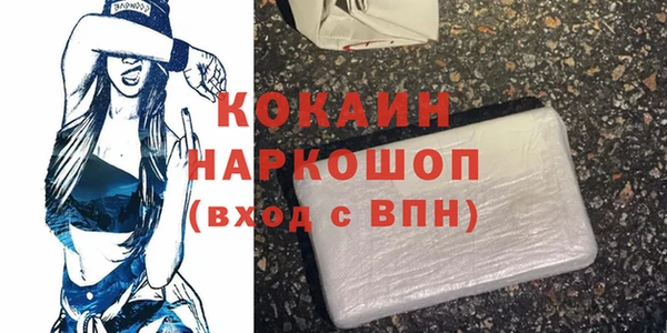 Альфа ПВП Горняк