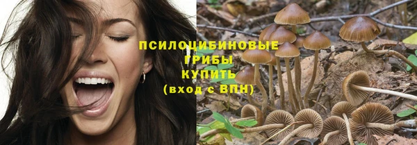 первитин Белоозёрский